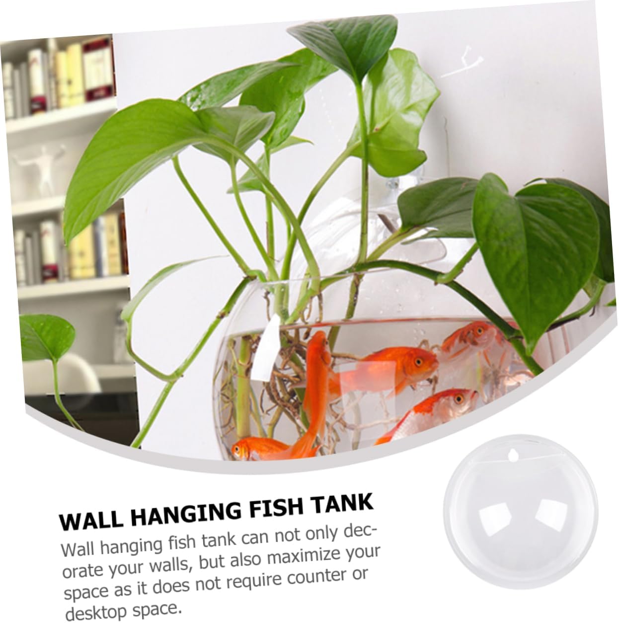 Toddmomy Wall-Mounted Acrylic Fish Bowl Plant Pot Clear Wall Flower Holder for Home Office Balcony Garden Decor Space-Saving Design Easy Installation Hanging