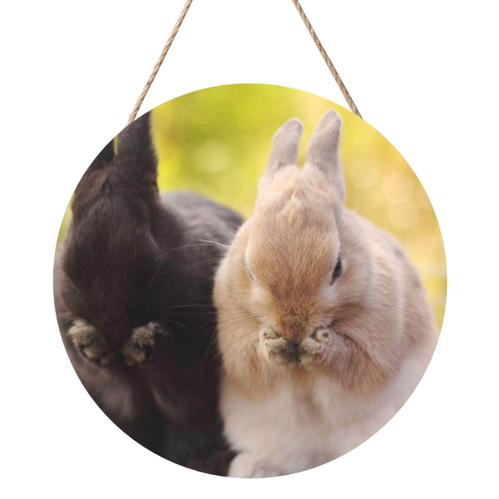 InOmak Rabbit Fluffy, Round Wood Panel Painting 12 in, Wall Hanging Painting For Home