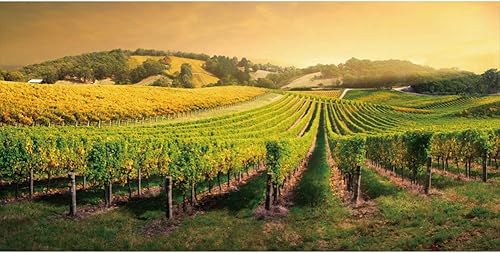 Miniatura 2 de Leowefowa - Telón de fondo de vinilo para viñedo, 8 x 4 pies, fondo de fotografía, fiesta de vino, cartel para eventos, actividades de fotomatón,