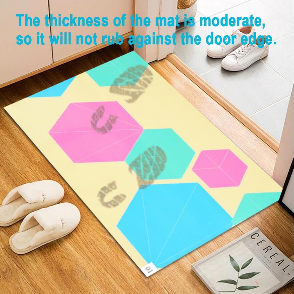 Anti-Dust Floor Mat,60 Layers Adhesive Detachable Decontamination Shoe Mat,Removable Wash Free PE Door Mat(40 * 60cm)