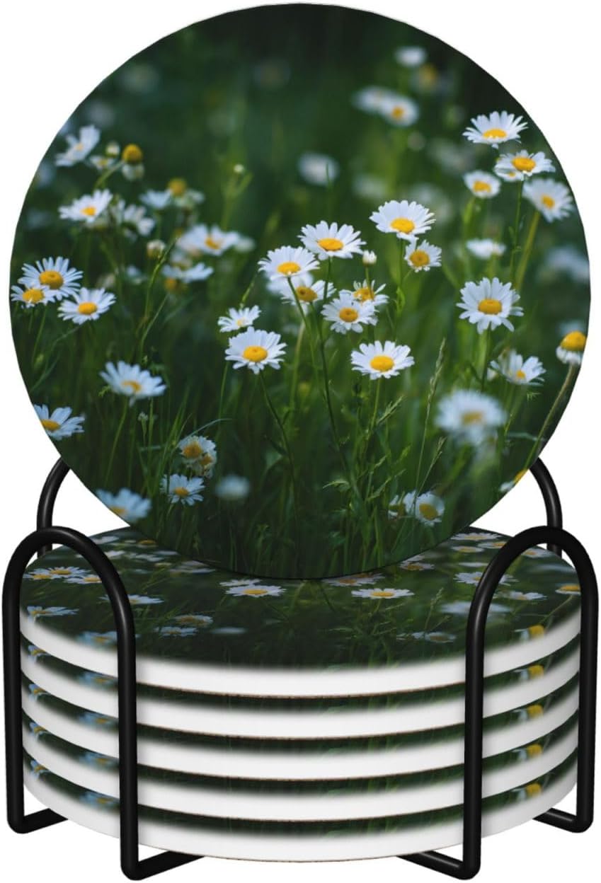 (Chamomile Blooms on The Grass) Ceramic Coasters Set of 6 with Holder Non-Slip Round Coffee Coasters for for Cup Mug Drink Patio Coffee Table Decor, Christmas Coasters Home Bar Supplies