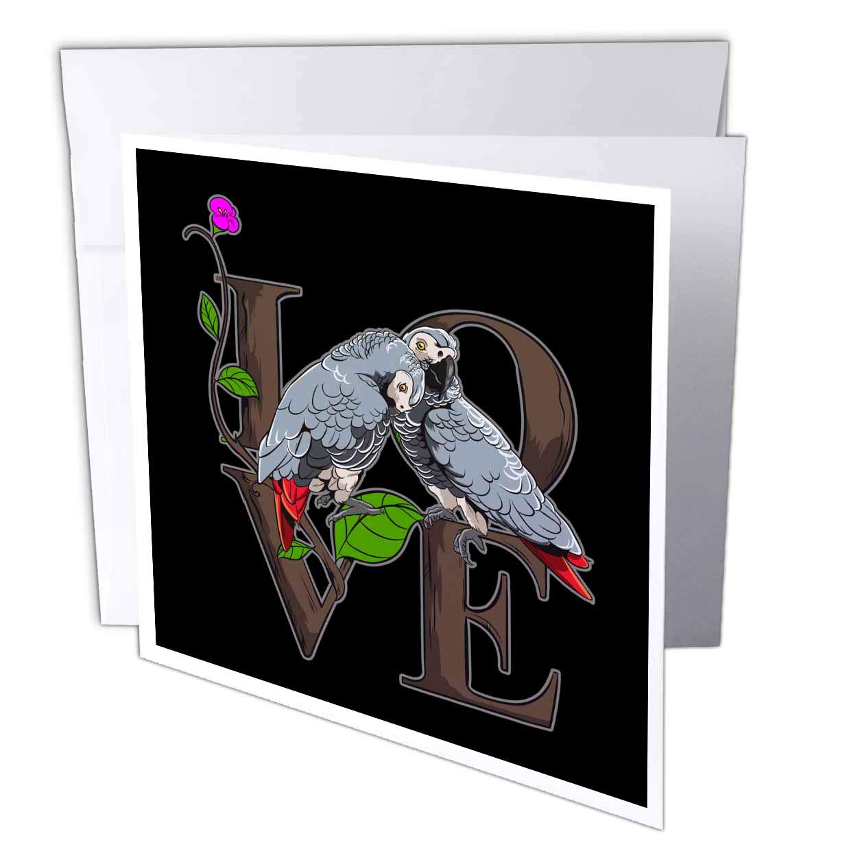 10 Top 5 Gifts for African Grey Parrot Bird Lovers Hummingbirds Plus