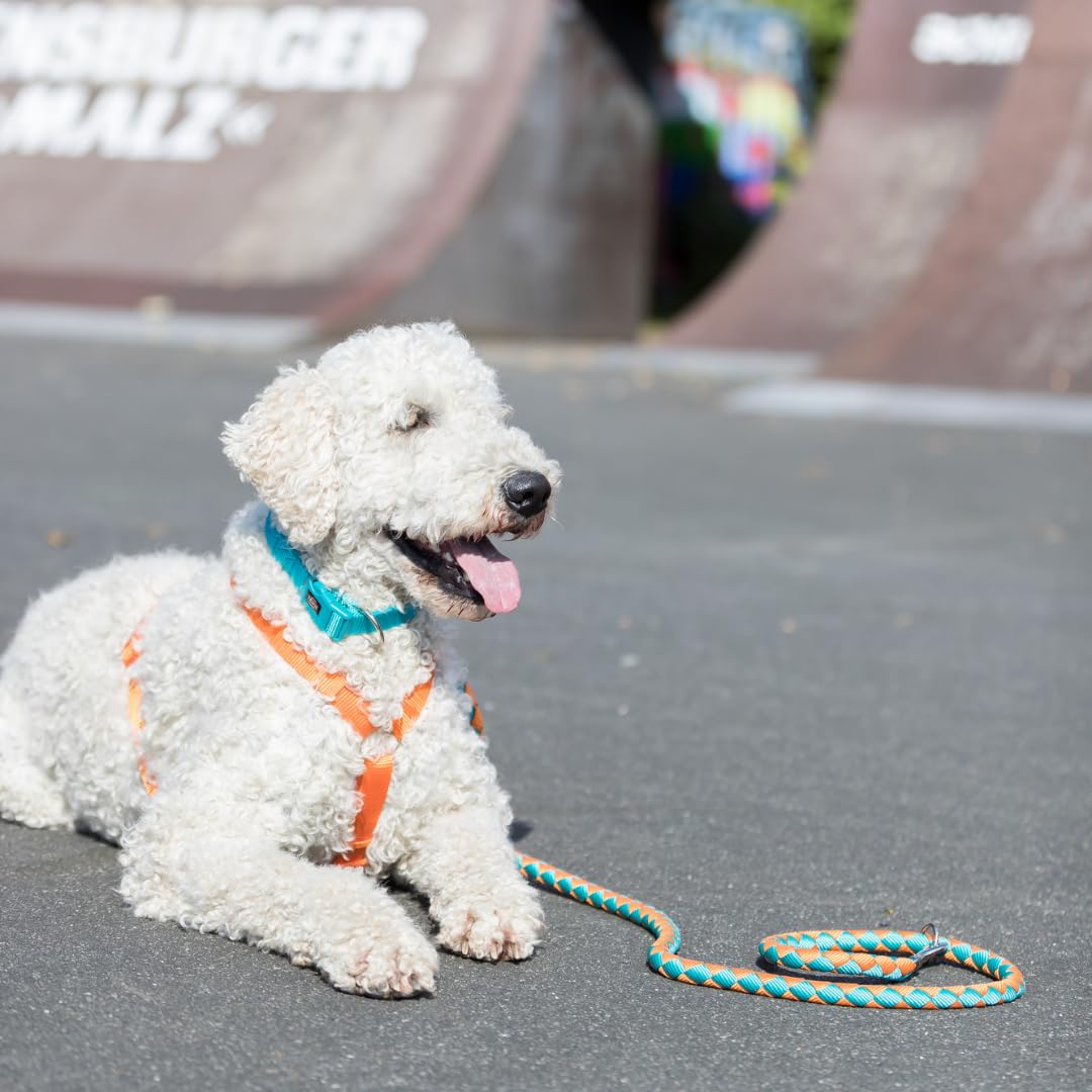 Hunter Visby Super Grip griffiger Kurzführer für Hunde, schwimmfähhig