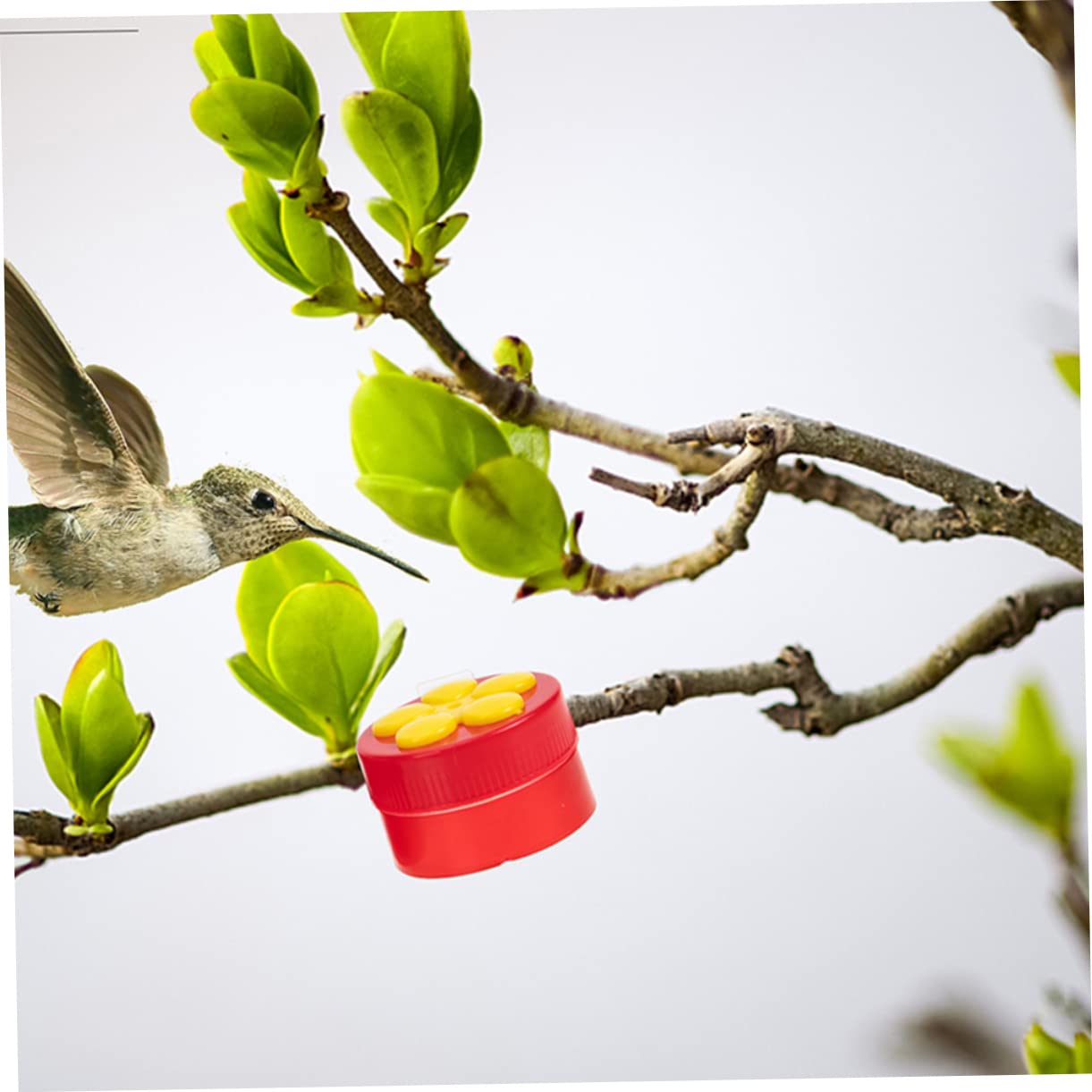 Sosoport 12pezzi Mangiatoia Per Uccelli Colibrì Con Supporto Clip Per Decorare e Balconi Facile Da Pulire e Utilizzare Per Alimentazione Acquatica