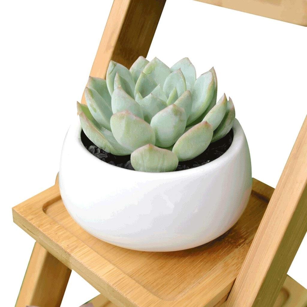 Doniczki na kwiaty prosta nowoczesna ceramiczna biała doniczka, 3 bonsai wysiew (3 stopnie drewniana rama) dekoracja domu ogrodu doniczka