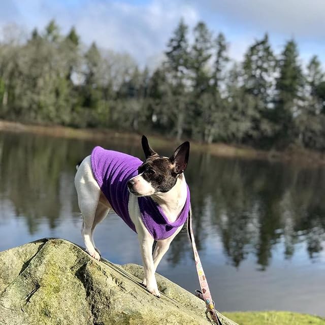 Foto 7 de 8 de Gooby Cada día Forro Polar Clima frío Chaleco para Perros pequeños, pequeña, Lavanda