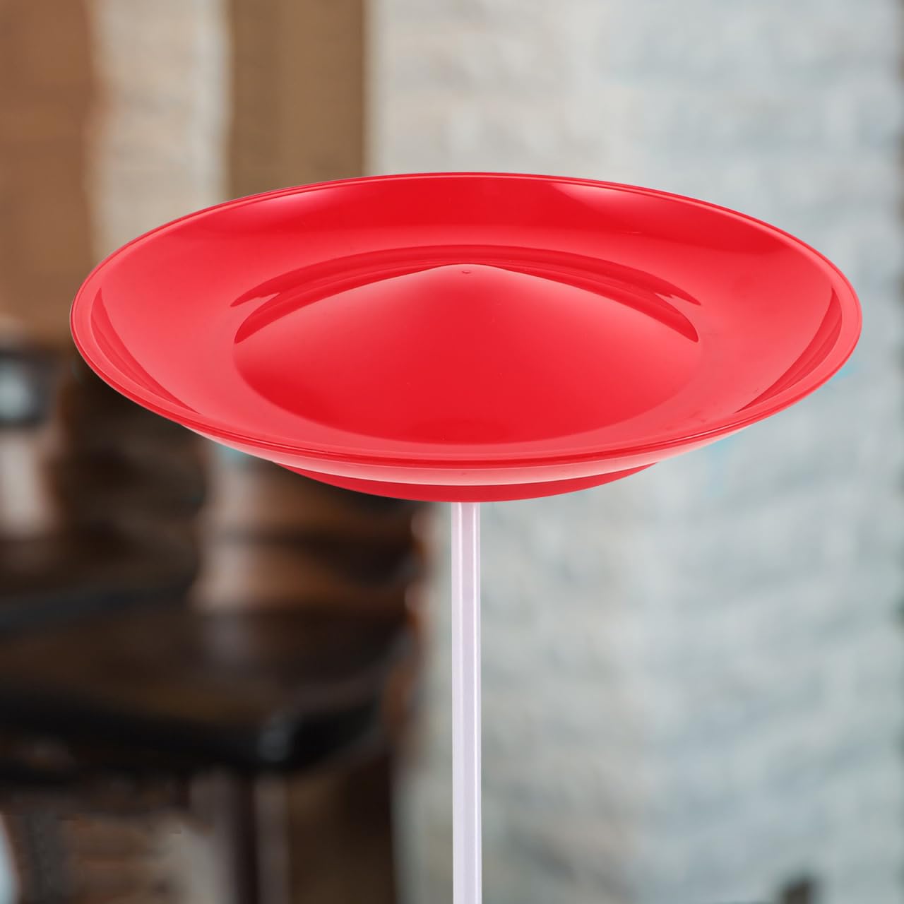 BESTonZON Piastra giocoleria con bastoni Spinning Plate Per Principiante Arti Circo Accessori Allenamento Versatili Puntelli Giocoleria Per Apparizioni E Divertimento