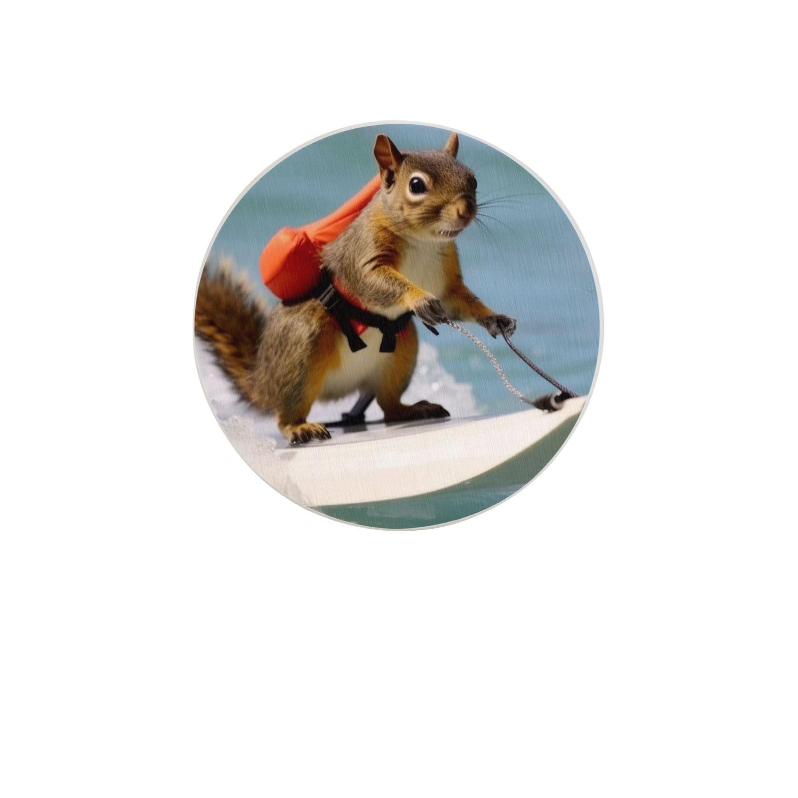 Water Skiing Fox Squirrel Absorbent Drink Coasters Diatomaceous Round Coaster 4 Inch Reusable Cup Coasters Set 4pc