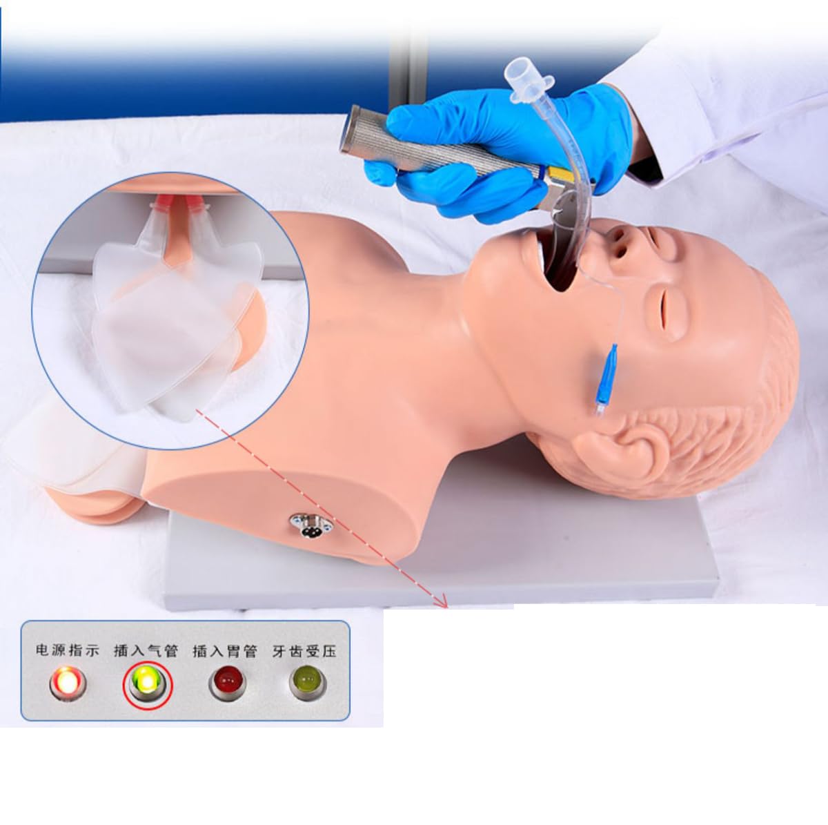 Modelo De Intubación Traqueal Oral, Nasofaríngea para Adultos De Primeros Auxilios Intubación Traqueal Humana Electrónica con Alarma Maniquí De Entrenamiento De Enfermería Médica