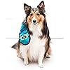 Product Photo 6