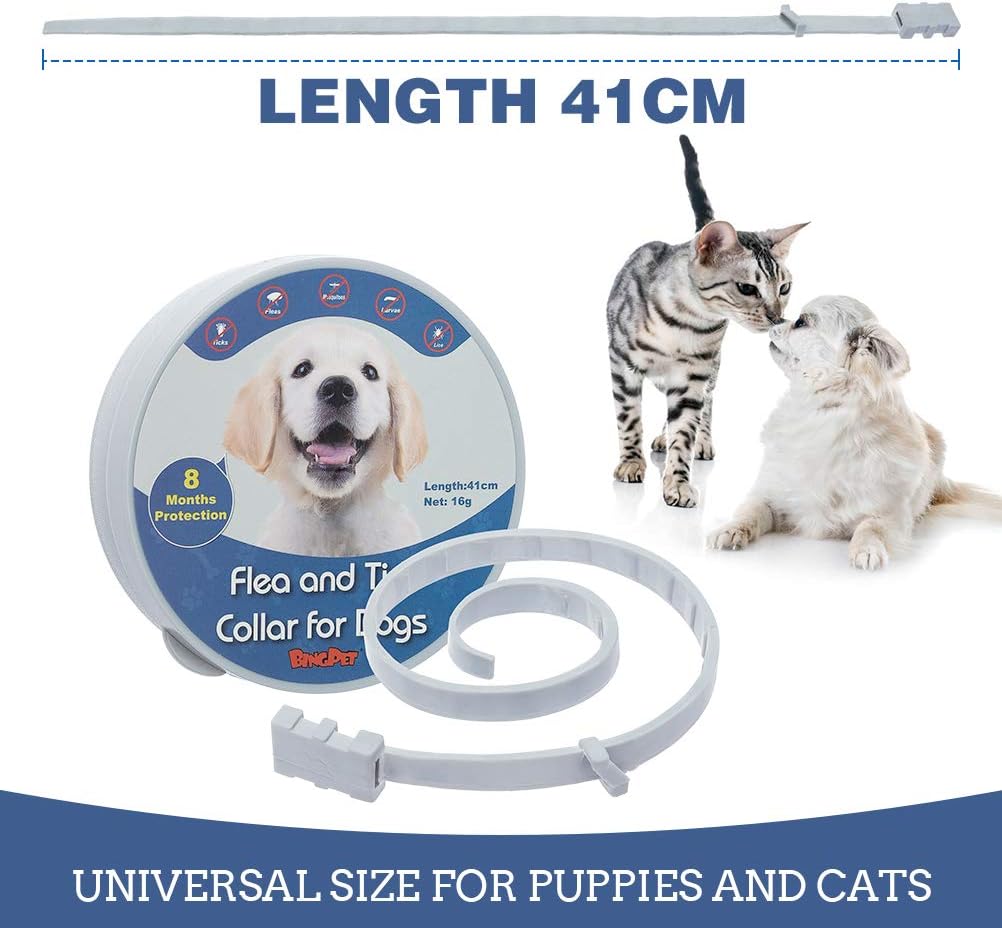bingpet flea collar