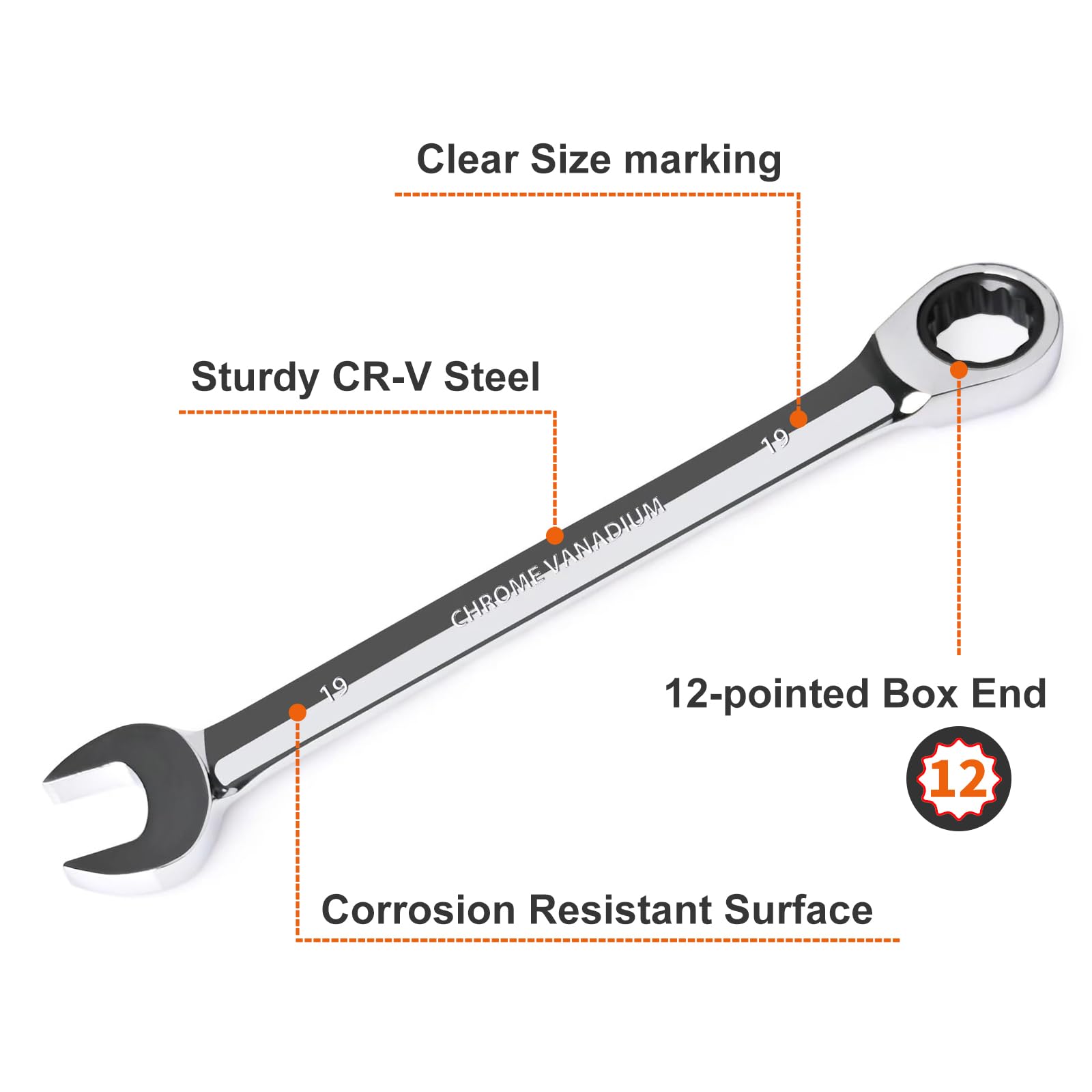 EGOFINE 19mm Ratcheting Combination Wrench Metric, Industrial Grade Gear Spanner with 12-Point Design, 72-Tooth Ratchet - Image 2