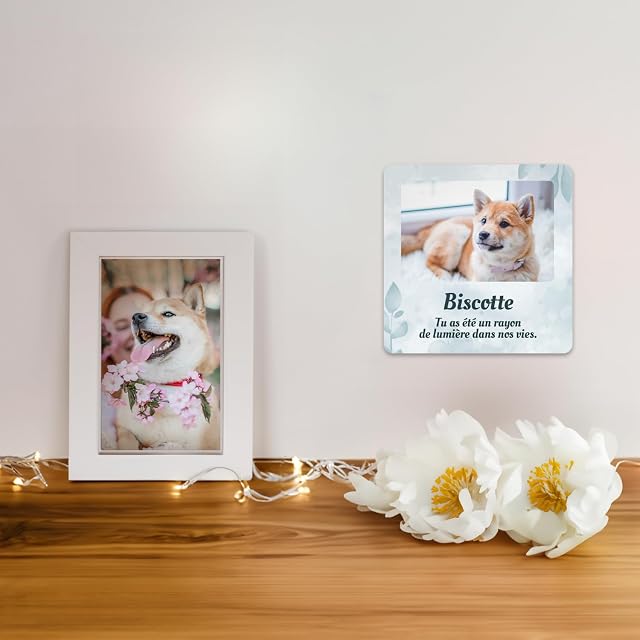 Foto 2 de 5 de Placa de recuerdo conmemorativa de plexiglás para mascota
