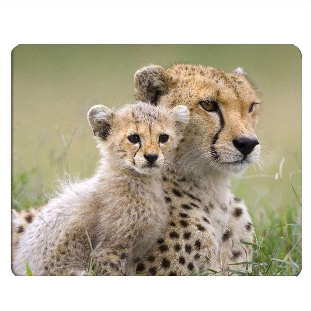 Nicokee Cheetah Gaming Mousepad Wild Animal Cheetah Mom and Baby Mouse Pad Mouse Mat for Computer Desk Laptop Office 9.5 X 7.9 Inch Non-Slip Rubber