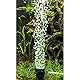 Hobby 00677 Bubble Air Spot colour & moon, LED mit Ausströmerfunktion, 1 Stück (1er Pack)