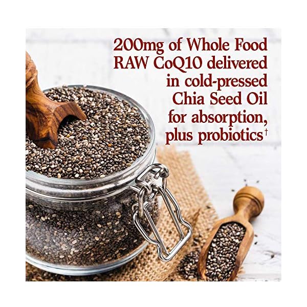 Garden-of-Life-Vegetarian-Omega-3-6-9-Supplement-Raw-CoQ10-Chia-Seed-Oil-Whole-Food-Nutrition-with-Antioxidant-Support-60-Count Garden of Life Vegetarian Omega 3 6 9 Supplement - Raw CoQ10 Chia Seed Oil Whole Food Nutrition with Antioxidant Support, 60 Capsules