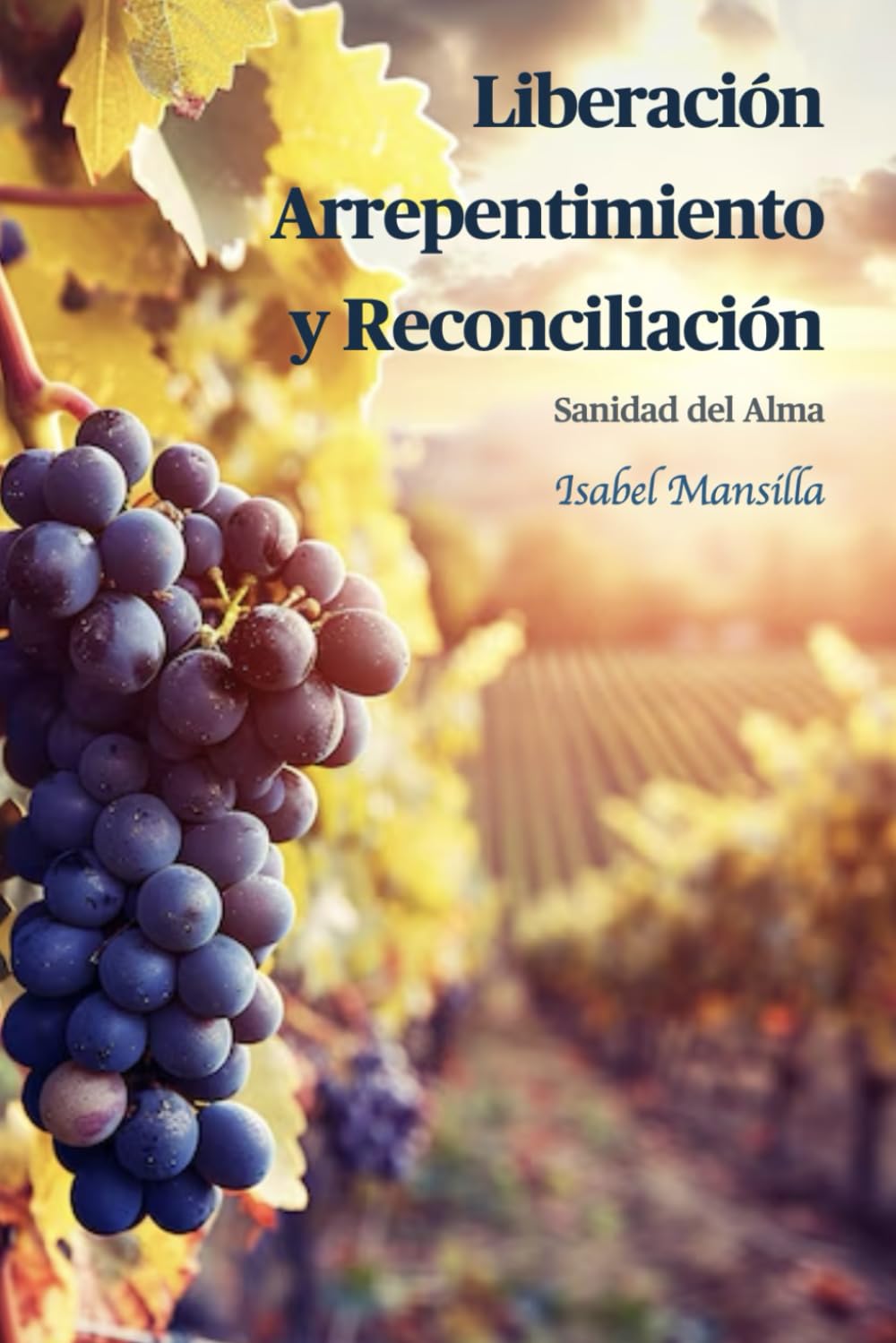 Liberación, Arrepentimiento y Reconciliación: Sanidad del Alma (Ministerios de Resurrección) (Spanish Edition)