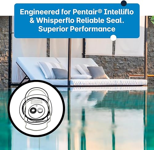 Miniatura 5 de Kit de reparación de juntas tóricas para Pentair® Intelliflo Whisperflo Pump Rebuild Kit 32 - Piezas de reparación de bombas Pentair® para todos los