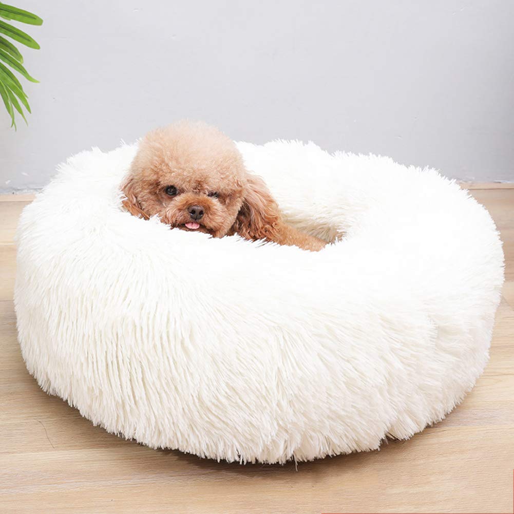 Coussin pour chat en forme de donut parfait pour les siestes dans le salon