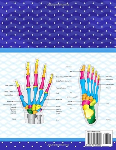 Independently Published Publication, Rhonesniczell Human Bones Anatomy Coloring Book: Human Bones Anatomy Coloring Book For Kids Adults Boys Girls Teens And Medical Students. Great Book For Learn And ... Gift For Human Anatomy Students & Teachers. thumb #1