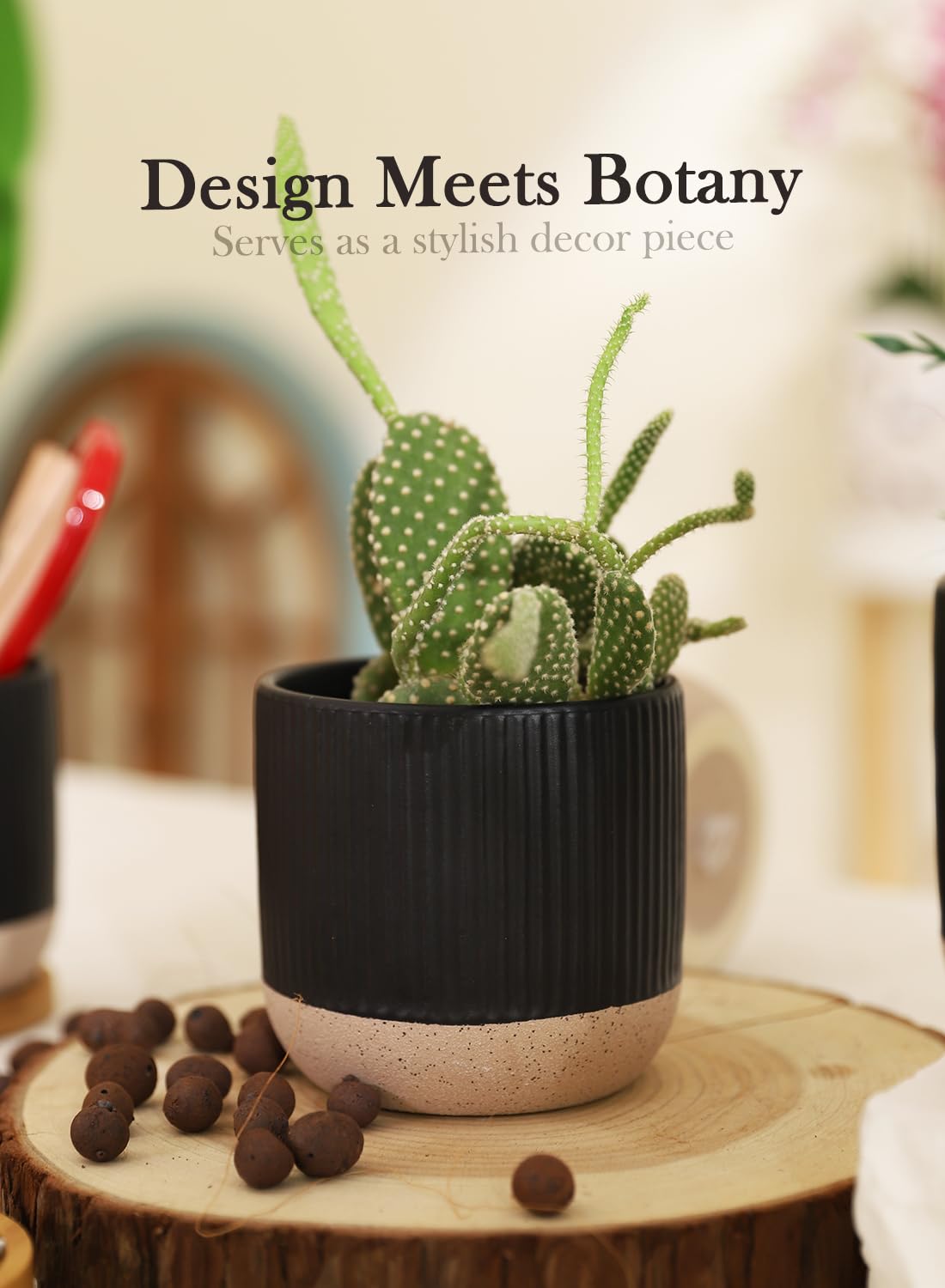Piccoli vasi in ceramica da 10 cm, con foro di drenaggio e sottovaso, fioriera moderna per piante grasse, piante da interno, cactus, erbe, nero, set di 4 (pianta non inclusa)