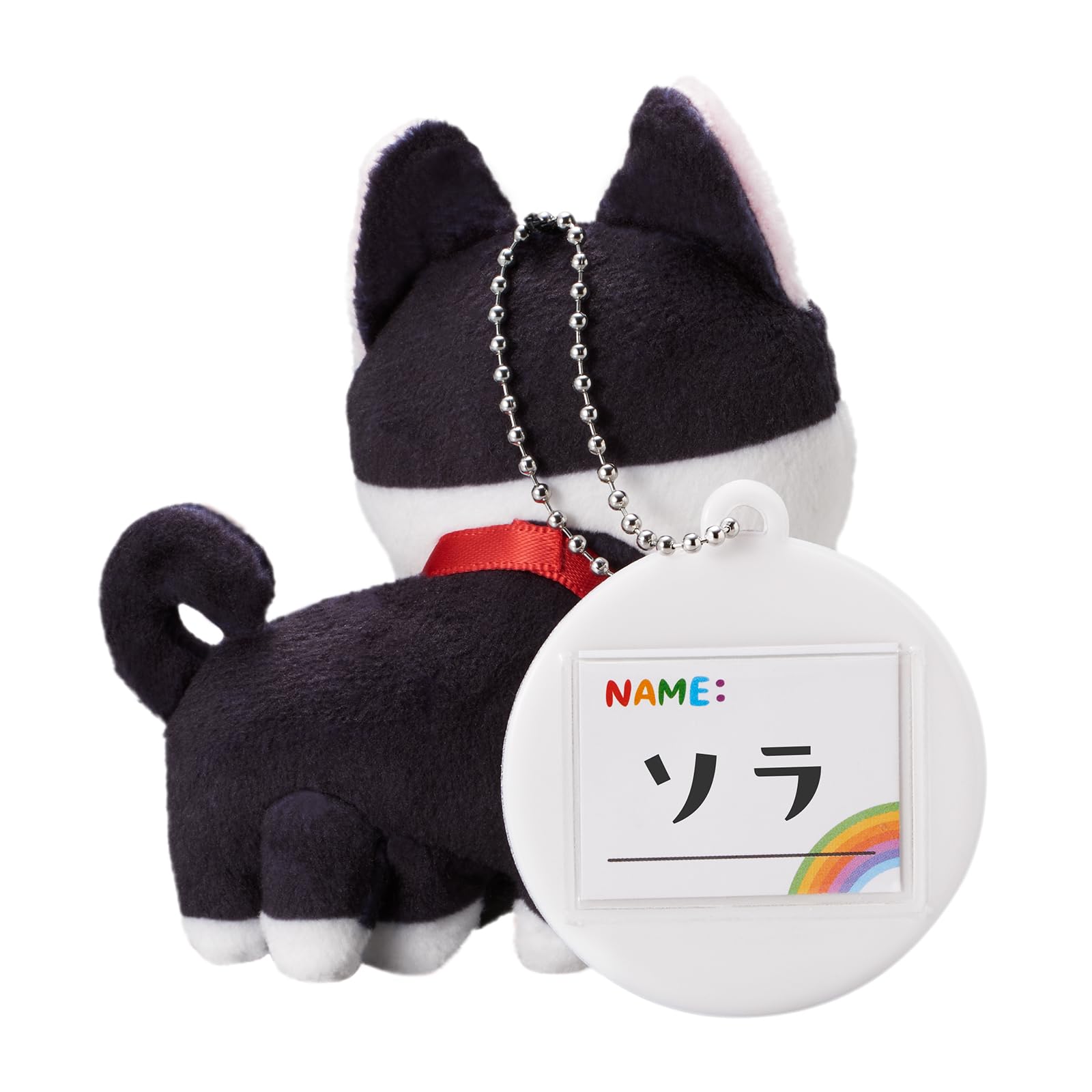 Amazon.co.jp: レインボーペット: 猫