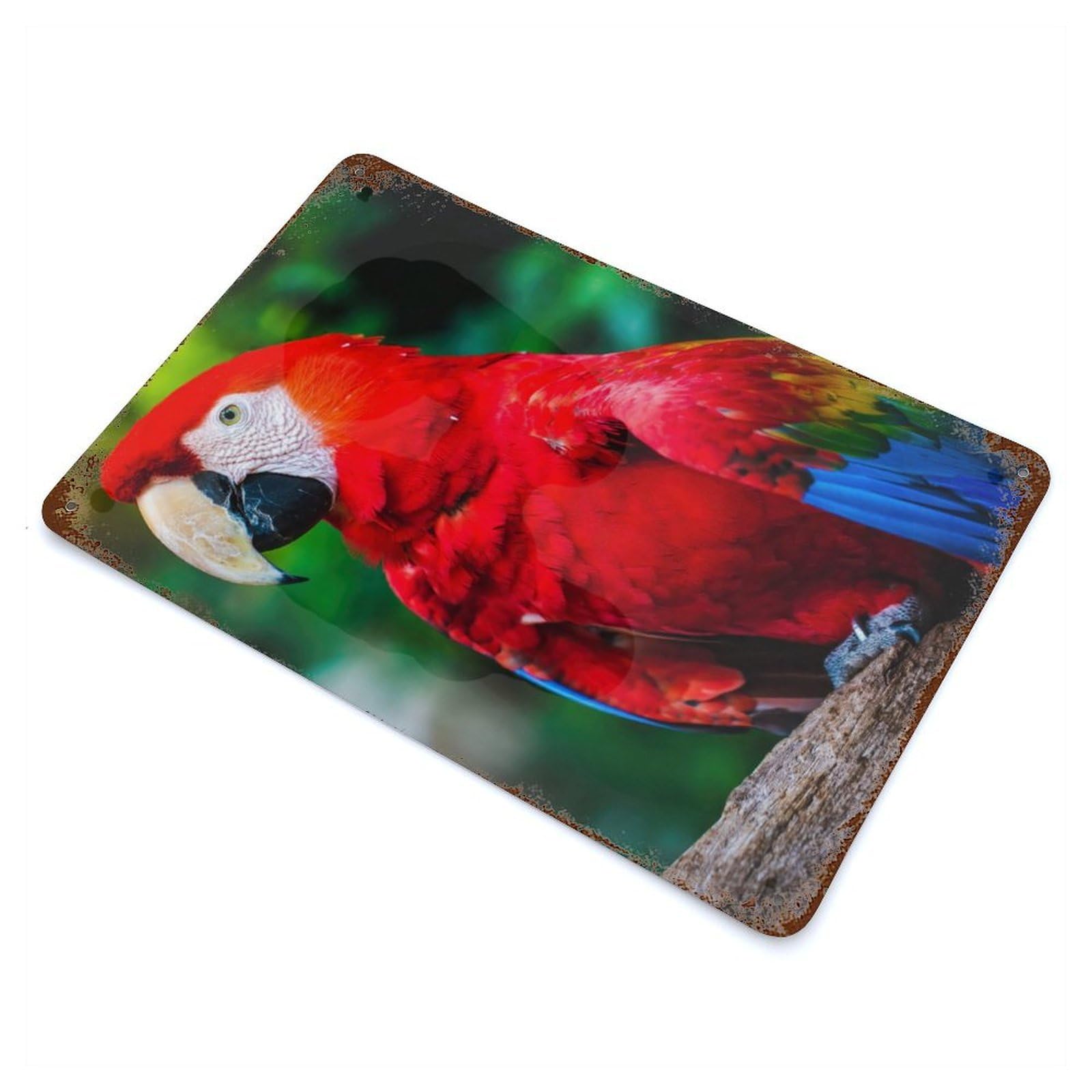 Red Yellow And Blue Parrot Retro Metal Sign 11.8"x7.9", Vintage Wall Decor for Garage, Pub Or Kitchen
