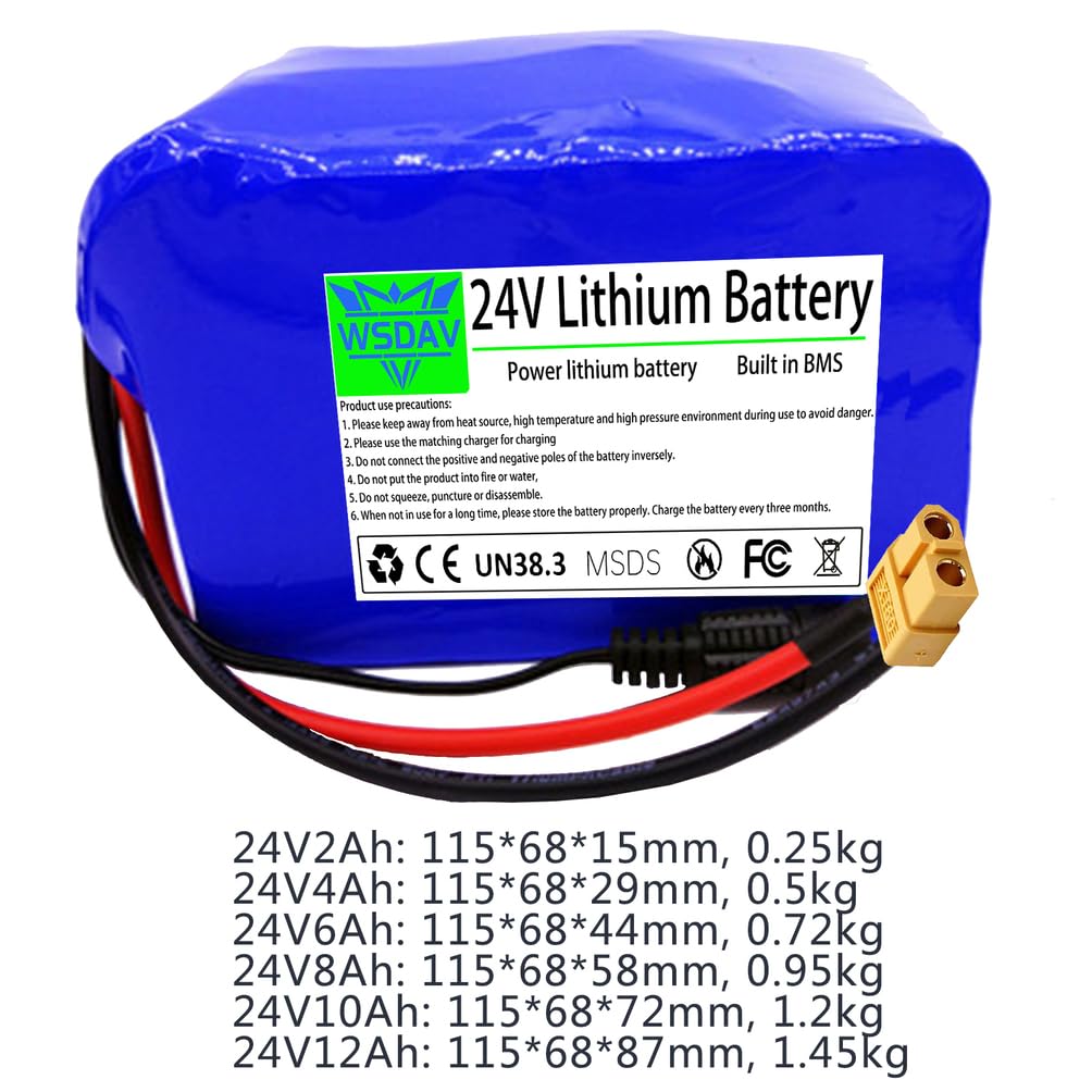 24-V-Lithium-Akku (24 V, 2 Ah, 4 Ah, 6 Ah, 8 Ah, 10 Ah, 12 Ah) als Ersatzakku mit BMS-Schutzplatine und Ladegerät