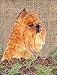 PatioPlus 11 x 15 in. Brussels Griffon Garden Size Flag