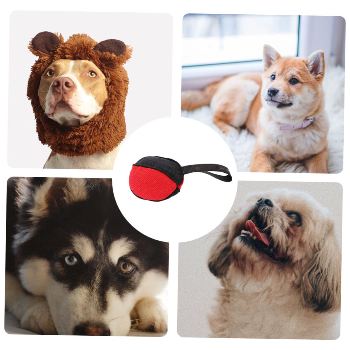 Sosoport 3pezzi Giocattolo Interattivo Per Cani Gioco Da Masticare Per Cuccioli All Aperto Resistente e Indistruttibile Stimola Istinto Naturale Di Per Allenamento e Divertimento