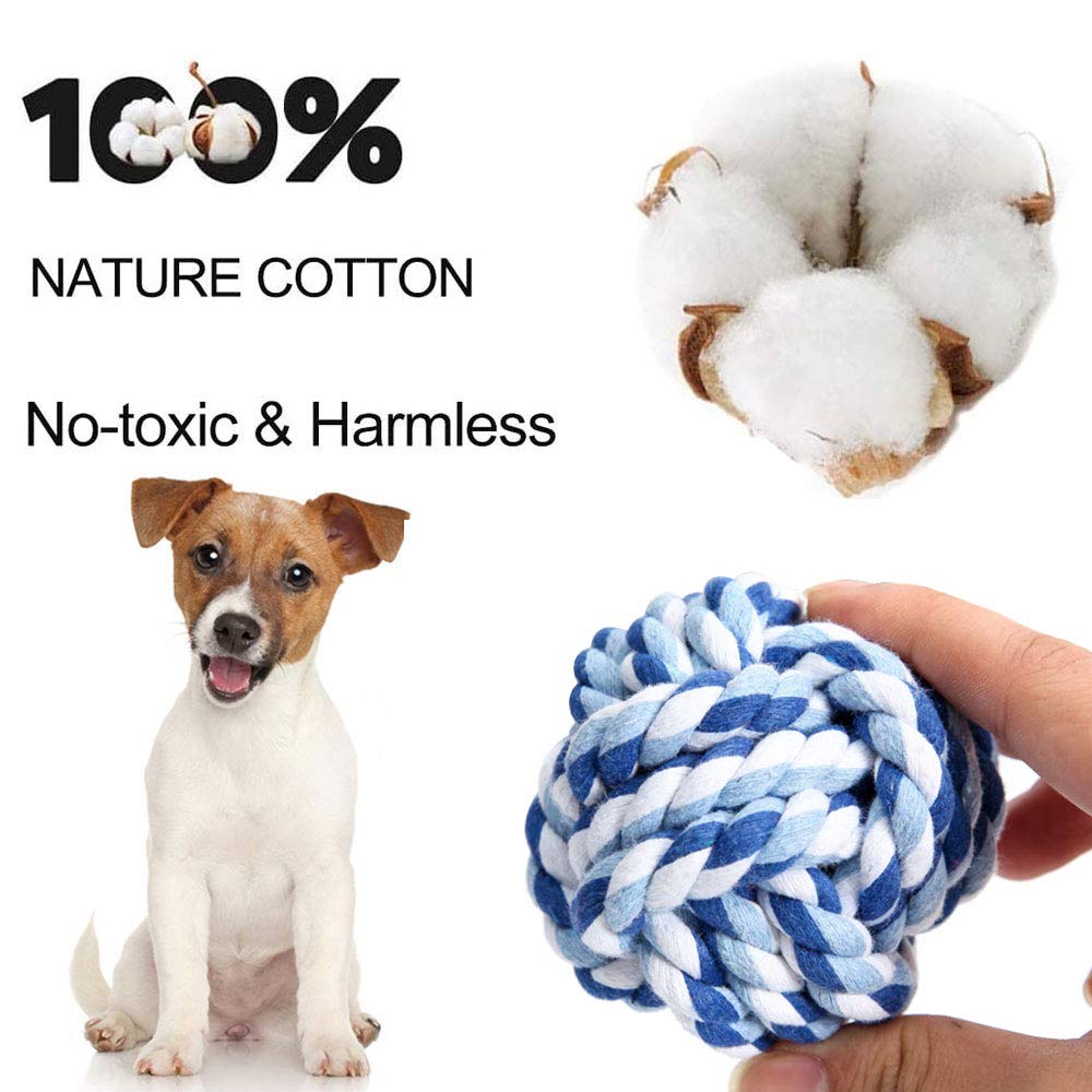 around the collar dog leashes Cushioned Harness + Waterproof Leash Dog Walk Kit  Wild One