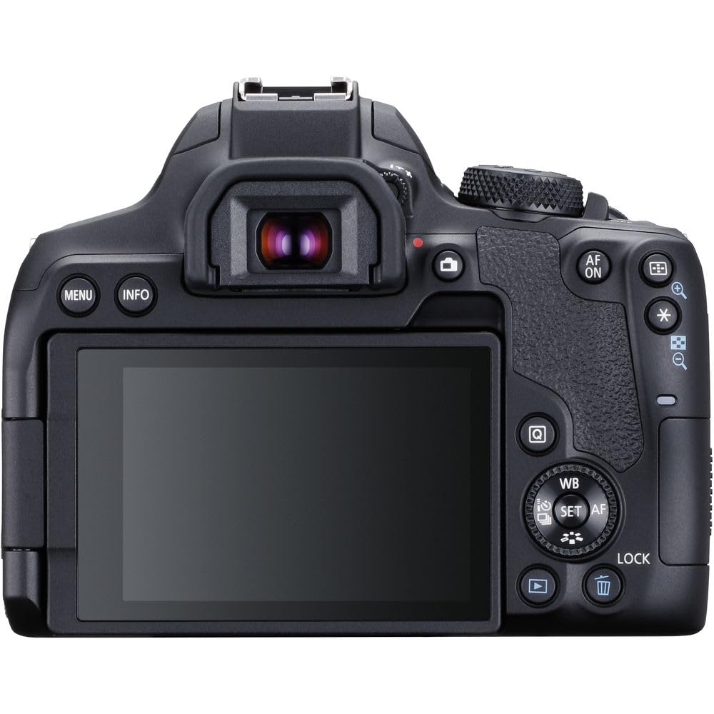 Amazon.com : Canon EOS Rebel T8i DSLR Camera (Body Only) (3924C001 
