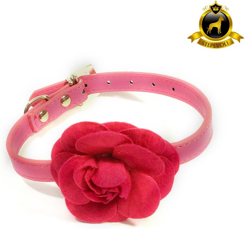 Stepevoli Dog Collar with Blooming Rose - Comes in Fuchsia Colour and C2 Size