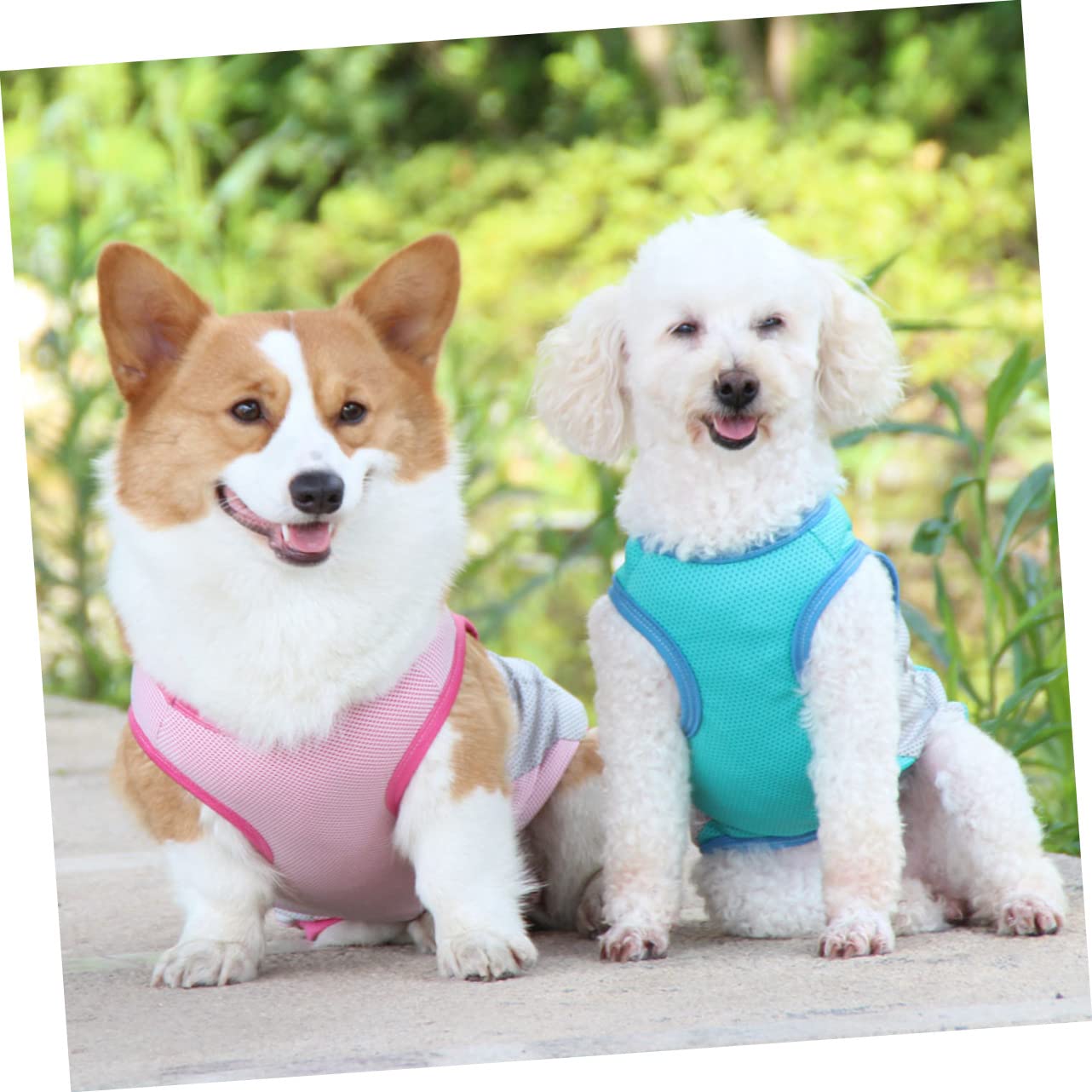 Manteaux de Pluie imperméables pour Chien, imperméable pour Chien, 5 pièces, Gilet rafraîchissant pour Animaux de Compagnie, Robe d'été, Sangle de Poitrine, Che
