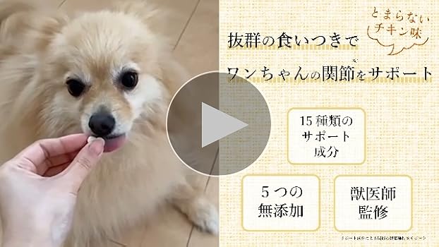 Amazon | 【獣医師監修】うちの関節サポート （90粒/1袋） 犬 猫