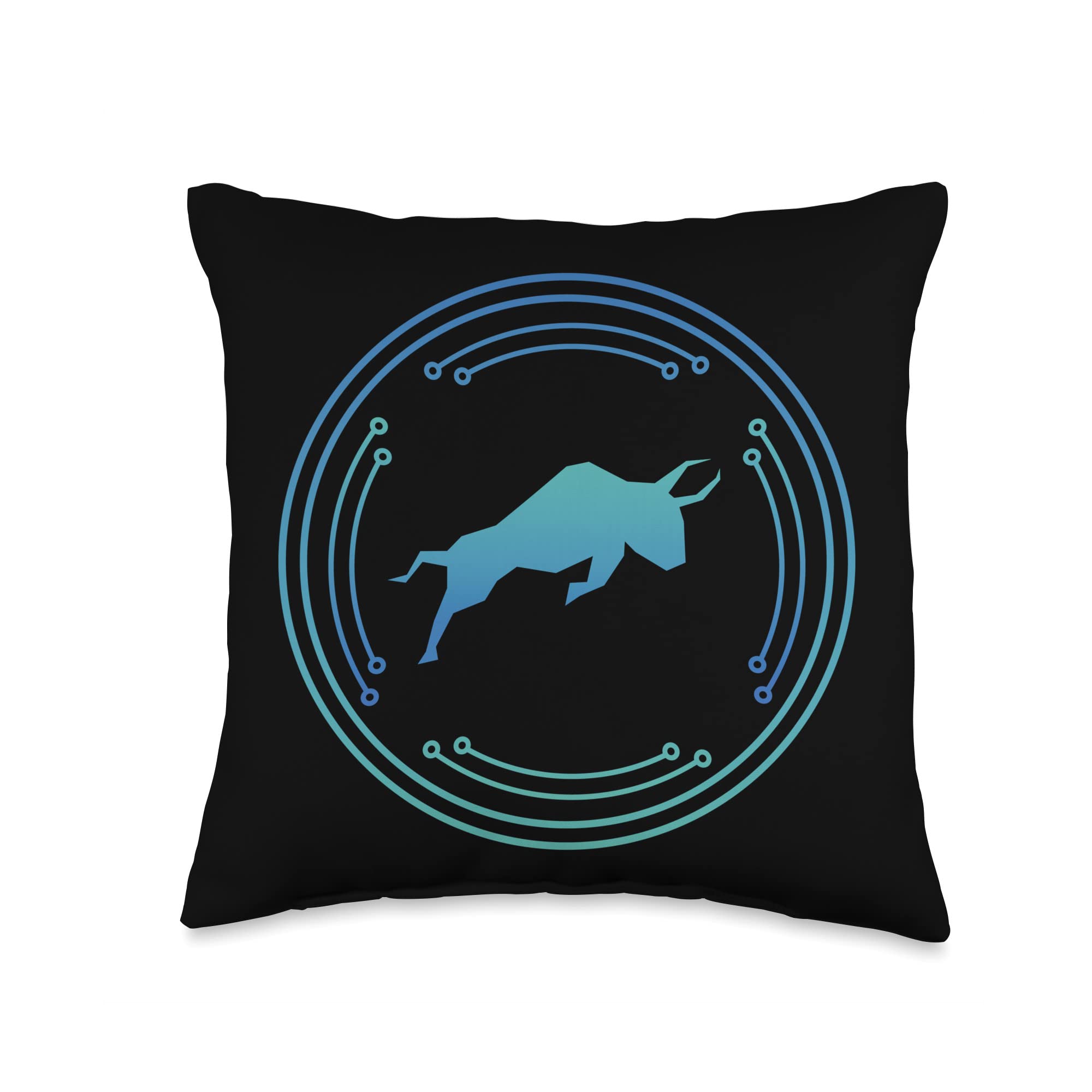 Polymath Crypto Digital Money Throw Pillow, 16x16, Multicolor