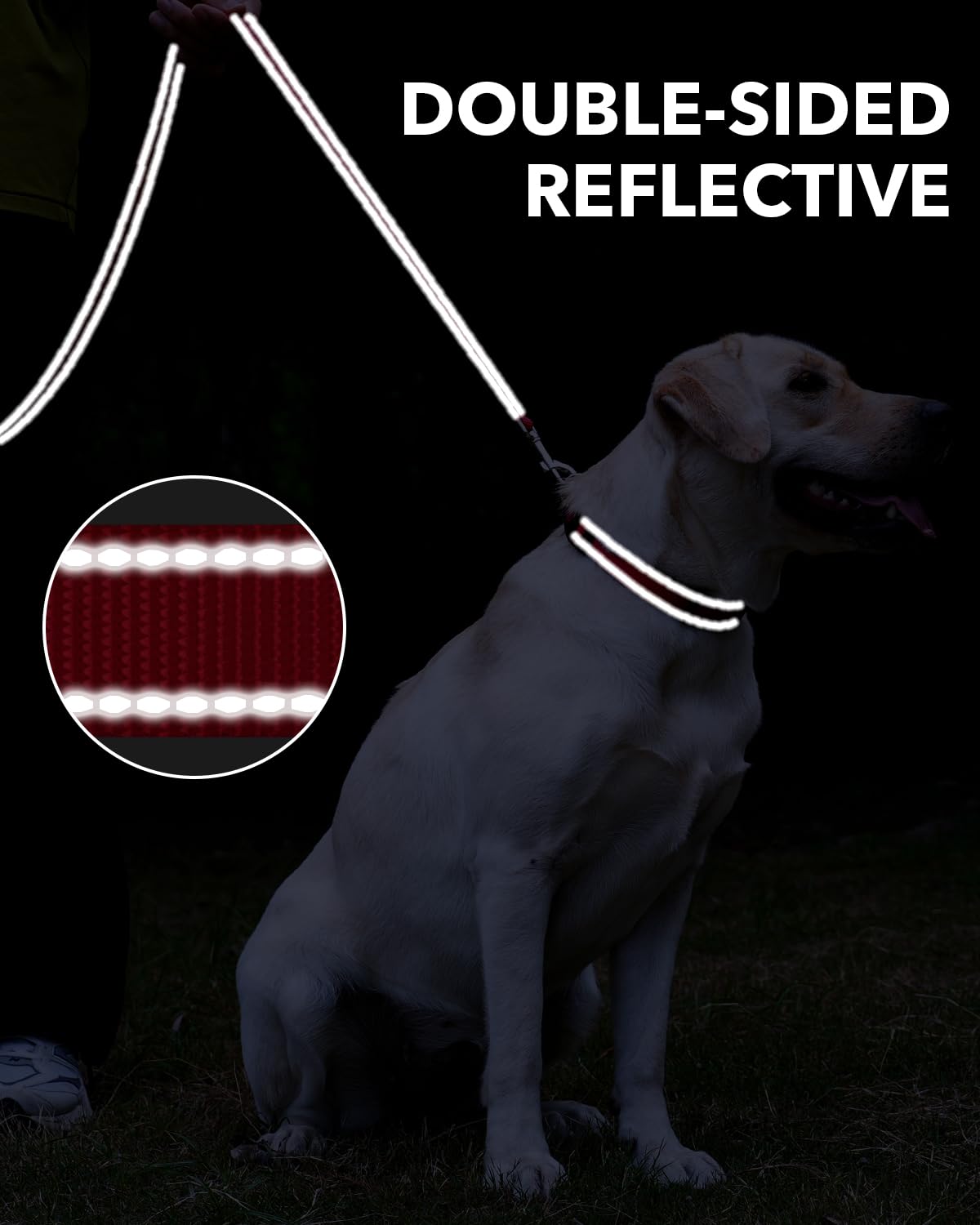 Taglory Guinzaglio per Cani Riflettente con Manico Imbottito e Gancio in Metallo, Nylon Resistente Addestramento Cane Guinzaglio, 1.2 m x 2.0 cm, Rosso