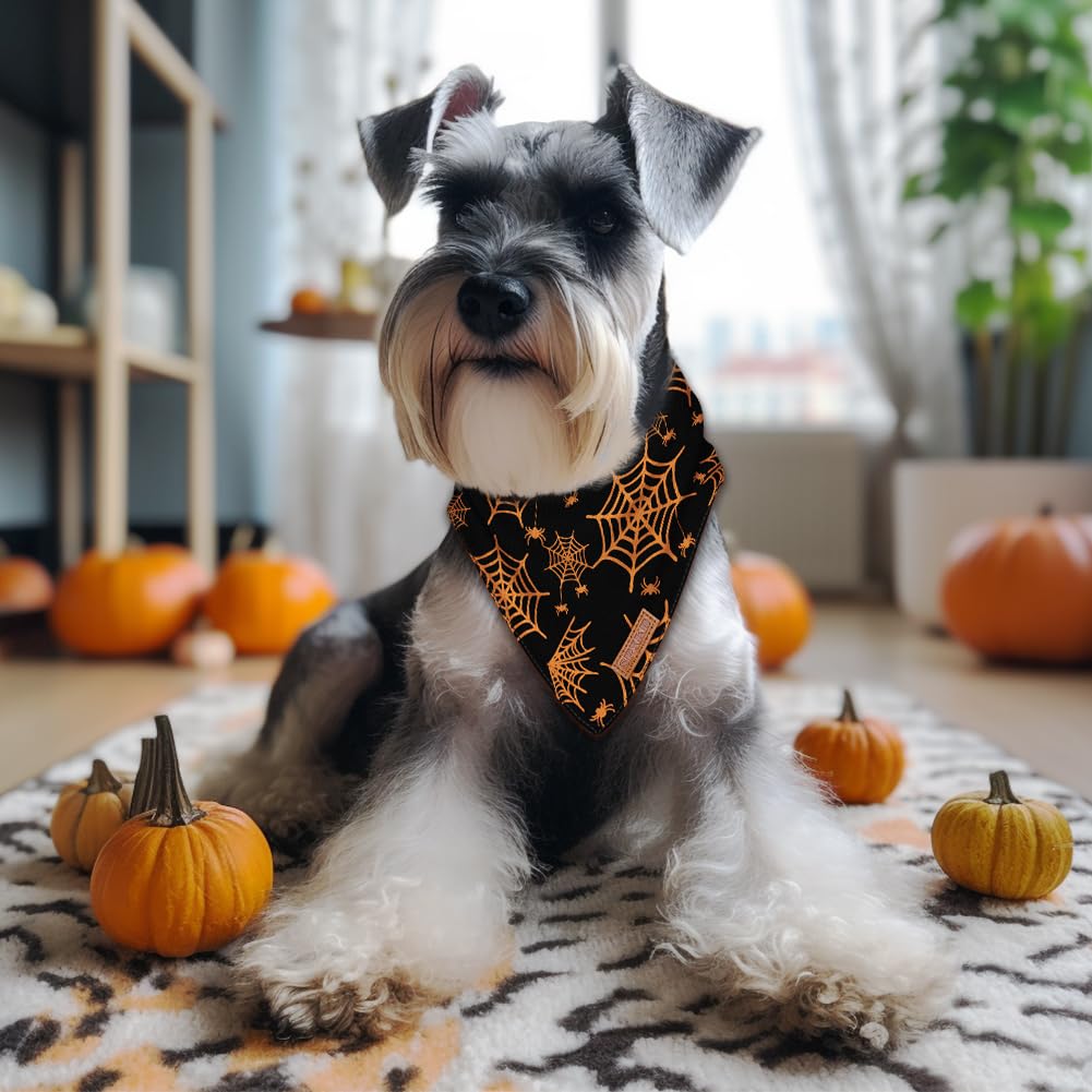 Halloween-Hundehalstücher, waschbar, weiche Baumwolle, Halloween-Kürbis- und Spinnen-Halstuch, mehrere Größen, hochwertiger, strapazierfähiger Stoff, verstellbare Passform, 2 Stück