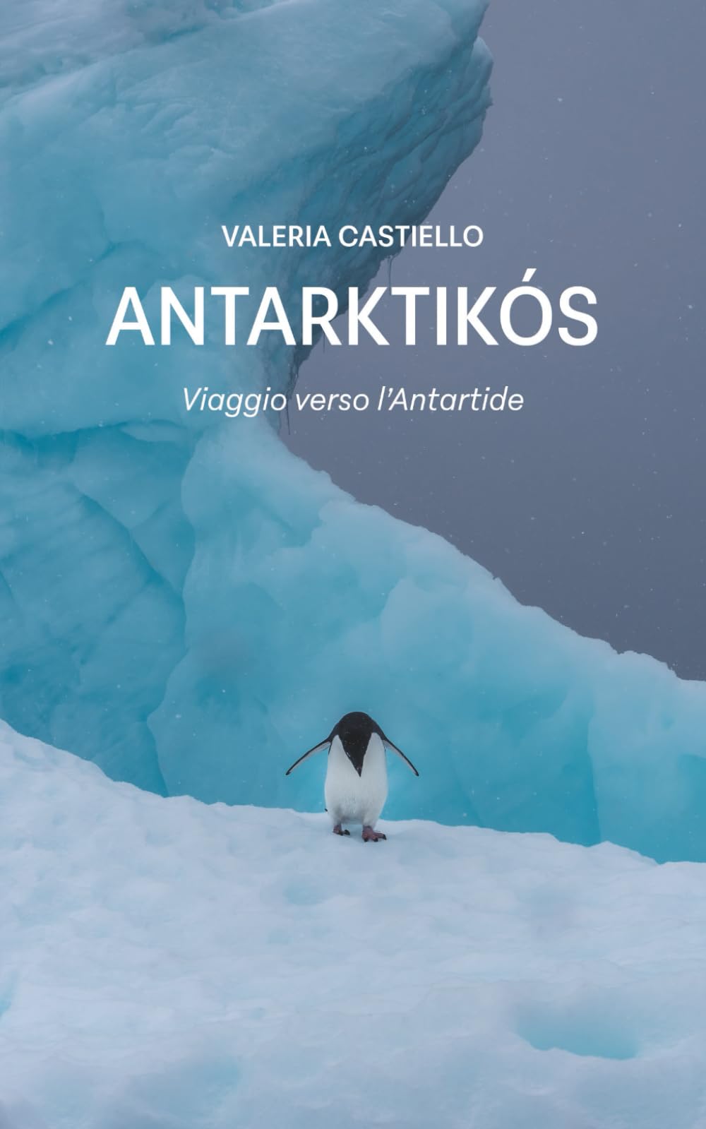 Antarktikós: Viaggio verso l’Antartide