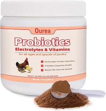 Chicken Electrolyte, Vitamin & Probiotic Supplement - Support Hydration Digestion Immunity Egg Production Poultry Supplement for Chickens, Ducks, and All Ages of Birds All-Season Use,10oz Powder