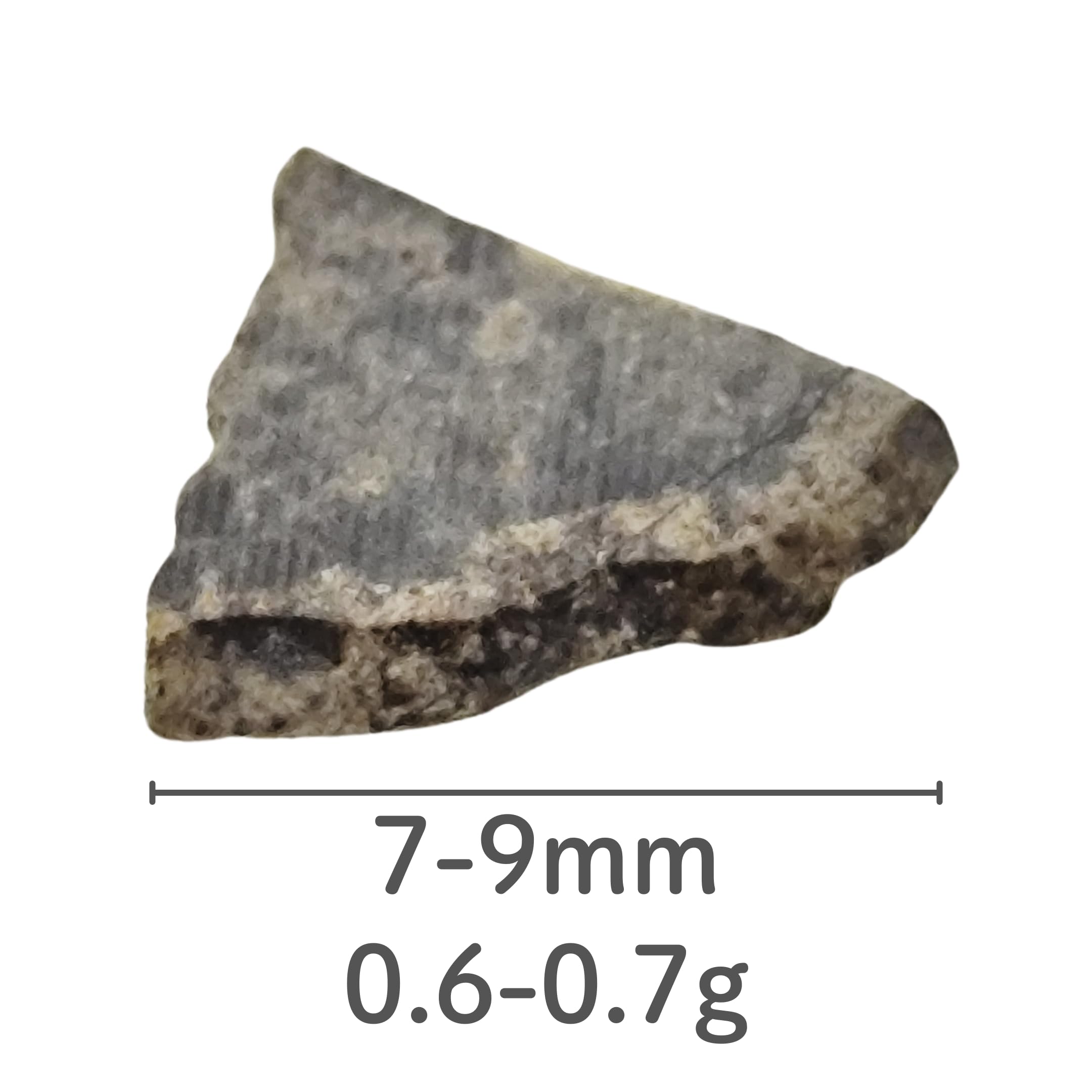 Amazon.co.jp: つくしサイエンス 火星隕石 火星の石 公式隕石名