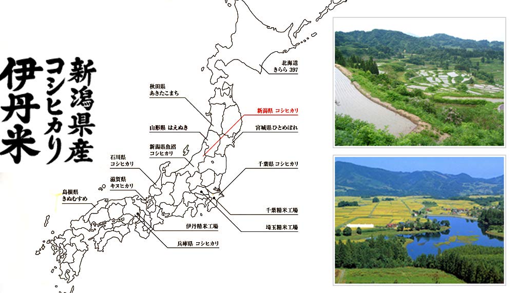 Amazon.co.jp: 【精米】 伊丹米 新潟県産 コシヒカリ5kg 令和7年産