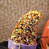 Zoom IMG-2 dysetcs confezione da 1 gnomi Zoom IMG-2 dysetcs confezione da 1 gnomi