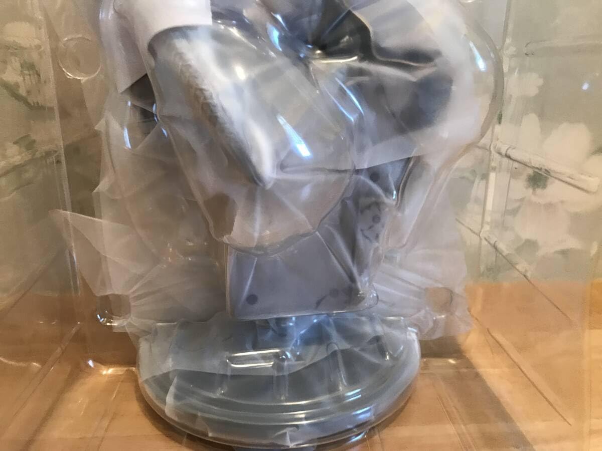 Amazon.co.jp: ブリスター ストリートファイター シリーズ 春麗