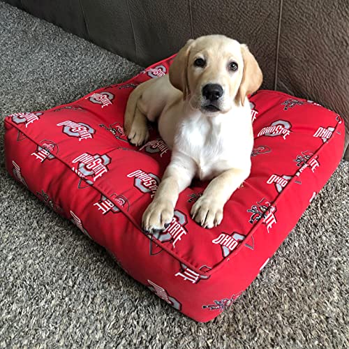 Image of College Covers Florida State Seminoles Floor Pillow /Pet Bed, 24 inch x 24 inch, Multi /Color
