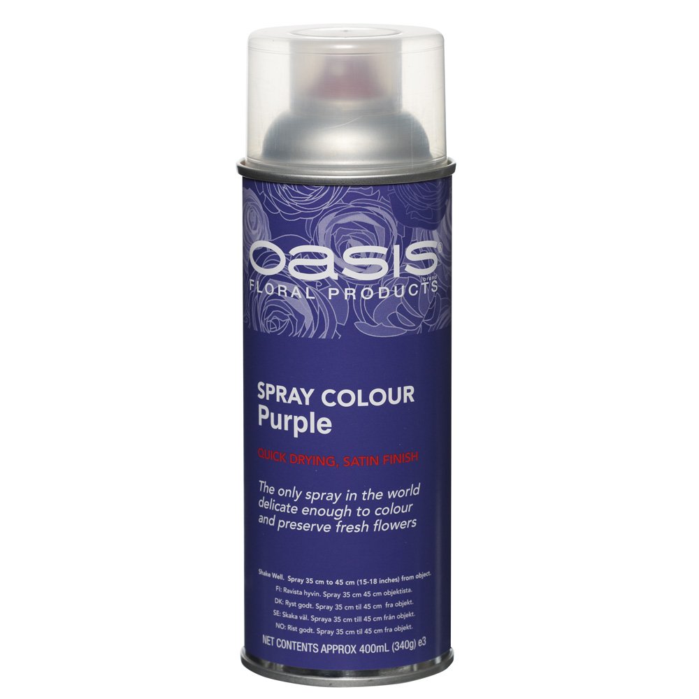 Spray Paint by Oasis 400 ml Cans Fresh Flowers & Crafts Florist - 42 Colours (Purple)