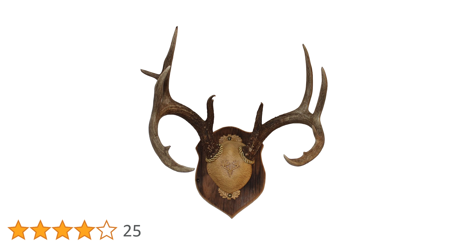 61K9Effle0L.jpg_BO30,255,255, 61K9Effle0L.jpg_BO30,255,255,