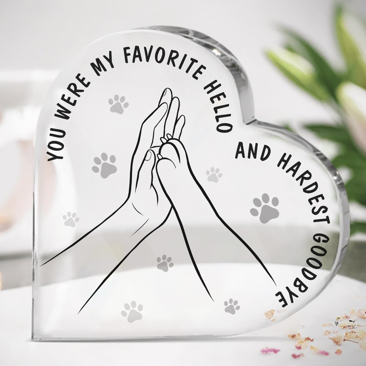 Sony WF-1000XM5 Tested: Versus Pet Memorial Plaque for Comfort & Style