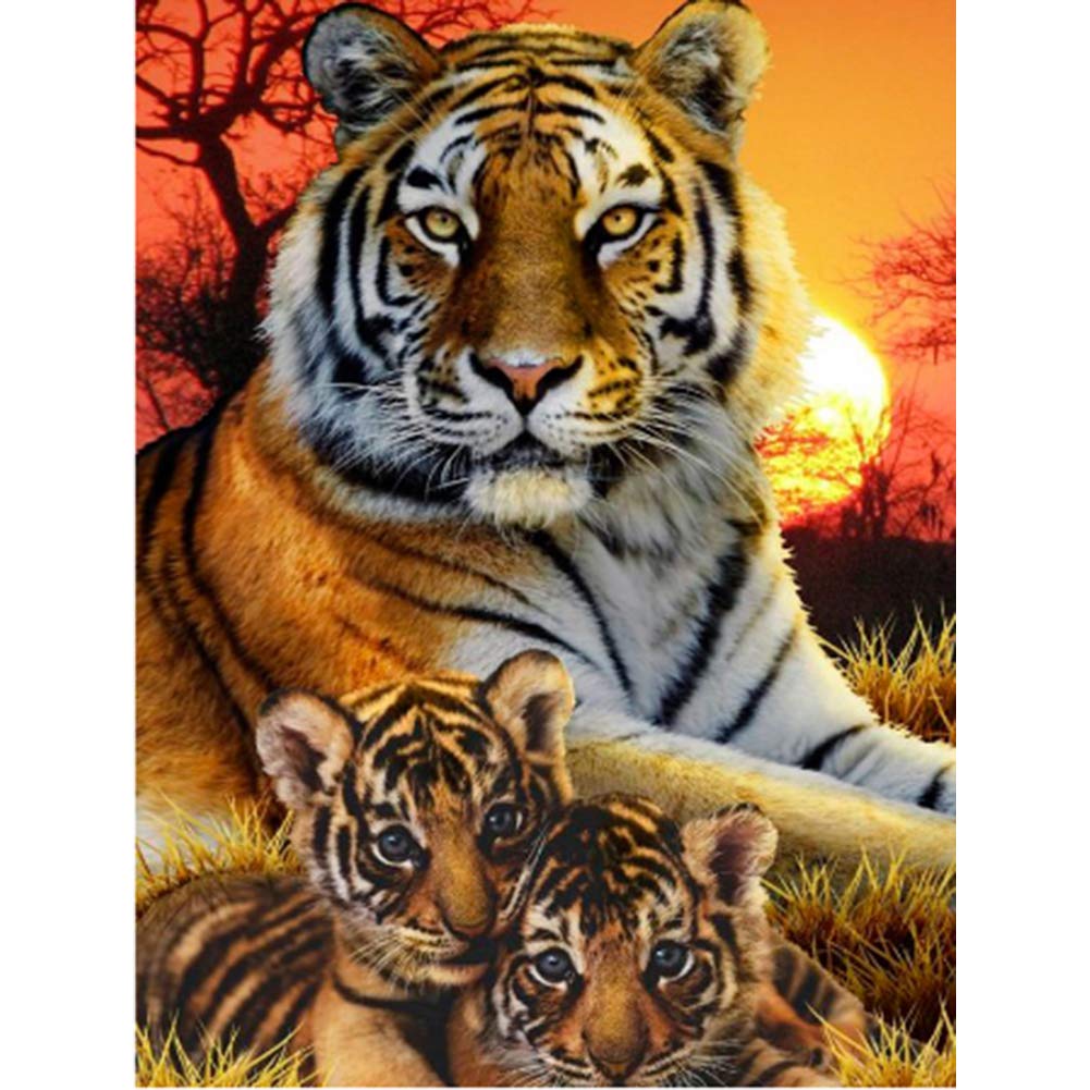 Diamond Painting Kits with Tools, Meecaa Tiger Animal Cub DIY 5D Full Drill Cross Stitch Diamond Mosaic Art Crafts 30x40cm (Tiger)