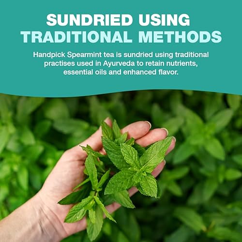 Vista 165 de HANDPICK, Bolsas de té negro orgánico English Breakfast (100 unidades) USDA Orgánico, sin OMG Té negro fuerte, robusto y alto en cafeína Bolsas